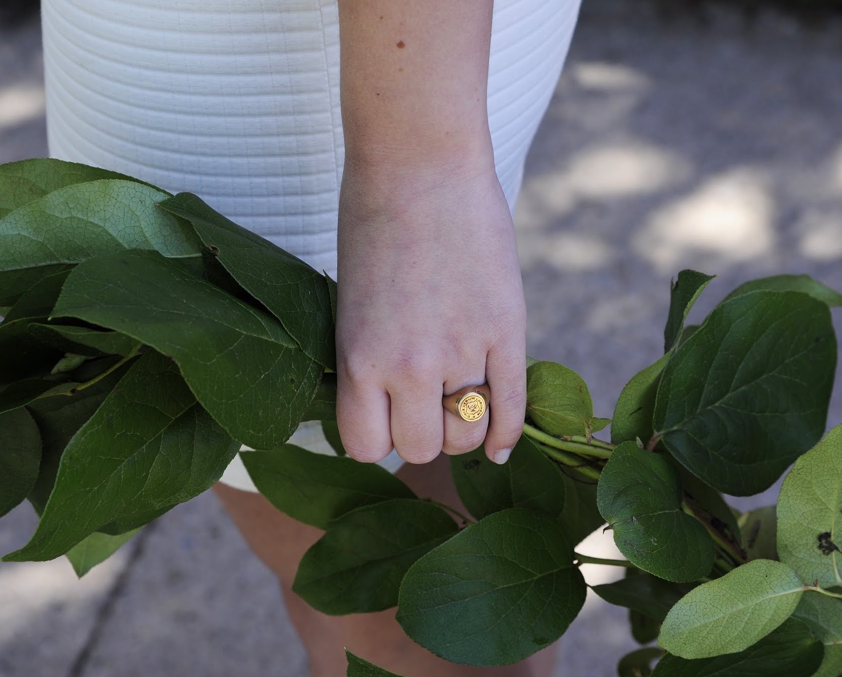 Young woman's hand with the laurel chain and college ring