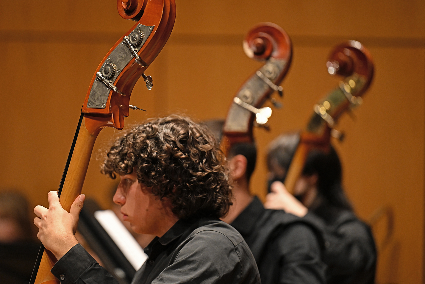 A trio of upright bass players perform as part of a student orchestra.