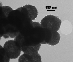 Hollow sphere with shells consisting of nanosized platelets, including a broken shell.