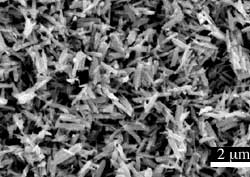 SEM image of Cr-Hollandite rods