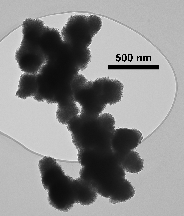 SEM and TEM images of (A) Spheres of aggregated nanosheets.